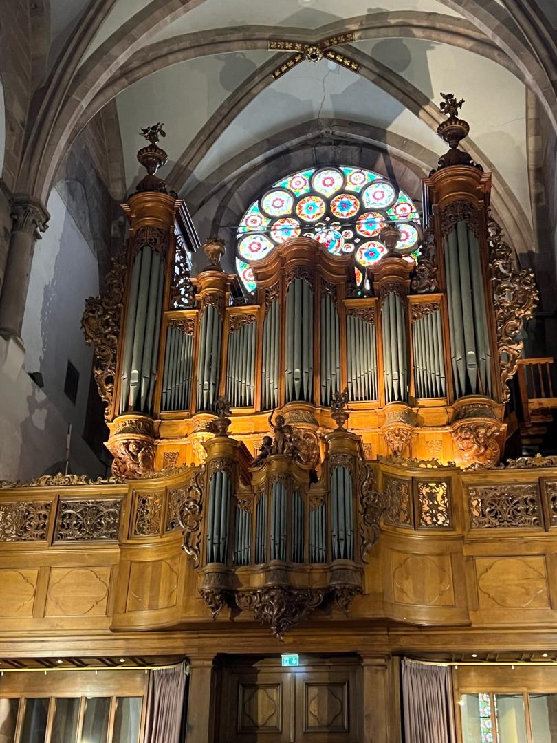 Blick auf ein Orgelprospekt