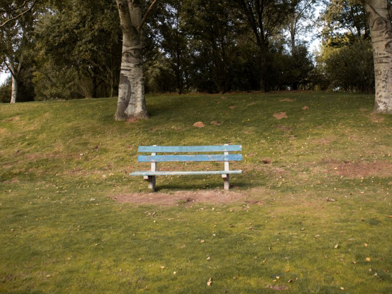 Blaue Bank in einem Park als Plakatmotiv für das Vorspiel